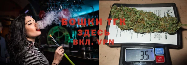 дживик Вязьма