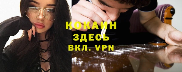 дживик Вязьма