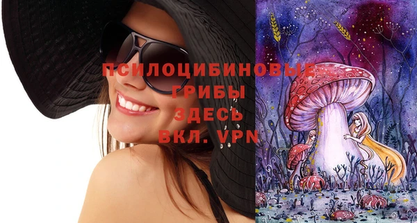 дживик Вязьма
