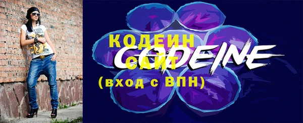 дживик Вязьма