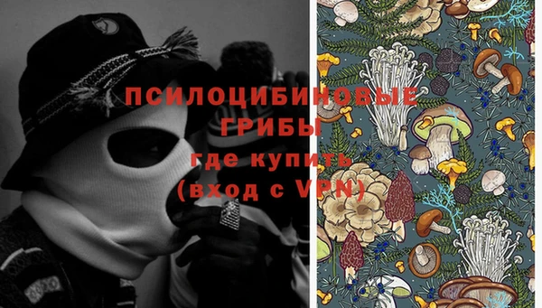 дживик Вязьма