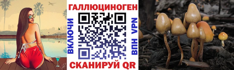 mega Нестеровская Галлюциногенные грибы Cubensis магазин наркотиков